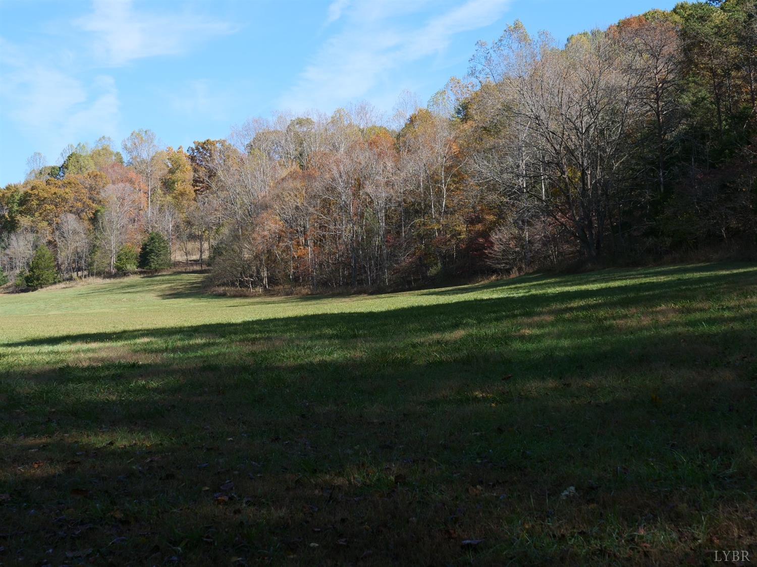 1838 Elk Valley Road Forest, VA 24551 - Photo 42 of 57 Gallery Image 42
