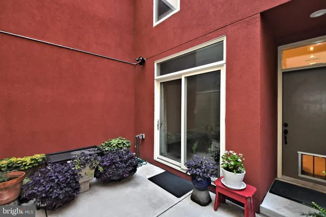 a couple of flower plants in front of gate