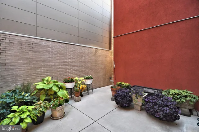 a view of a bunch of flowers