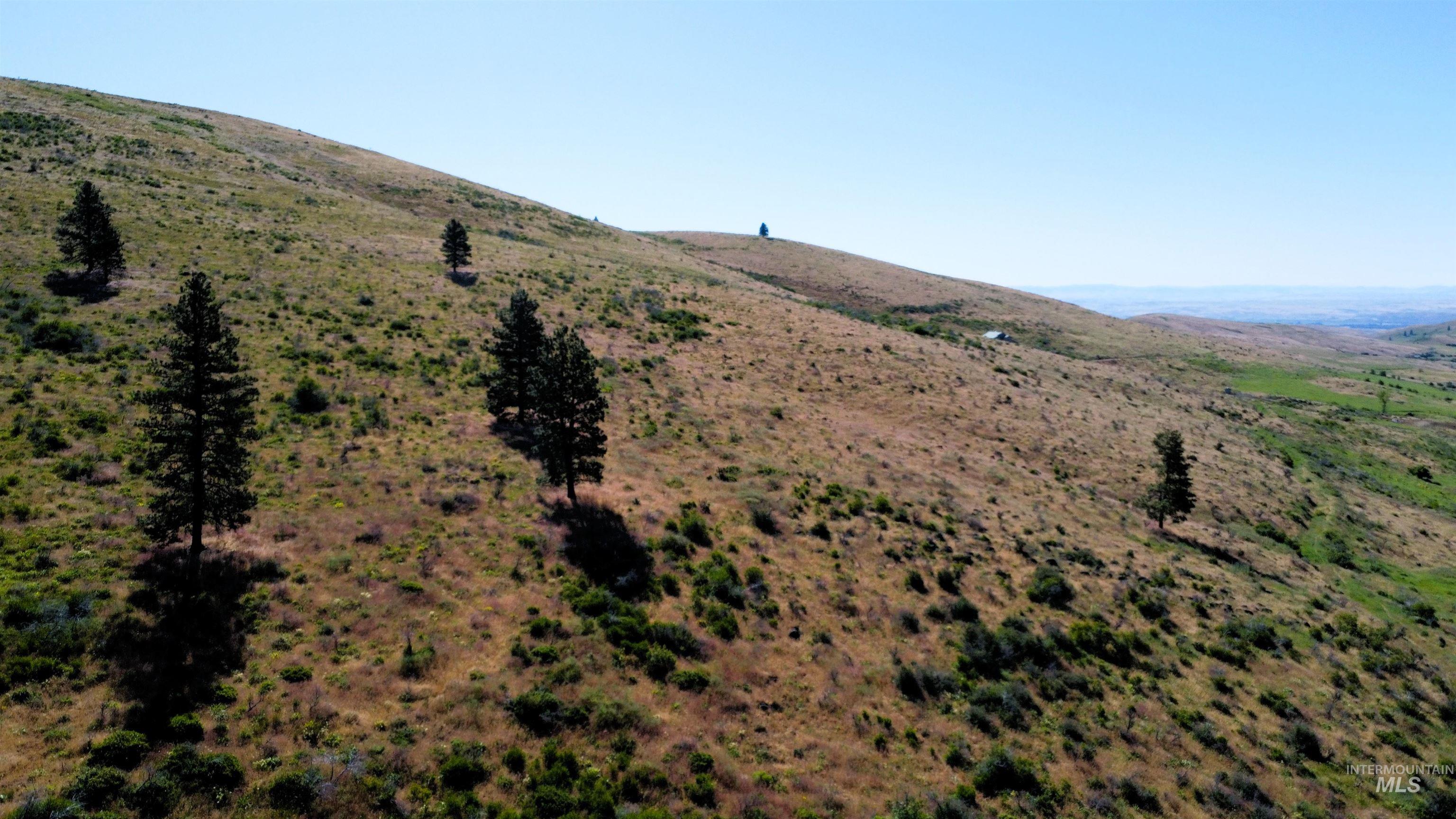 Tbd Advent Gulch Road Cambridge, ID 83610 - Photo 22 of 24