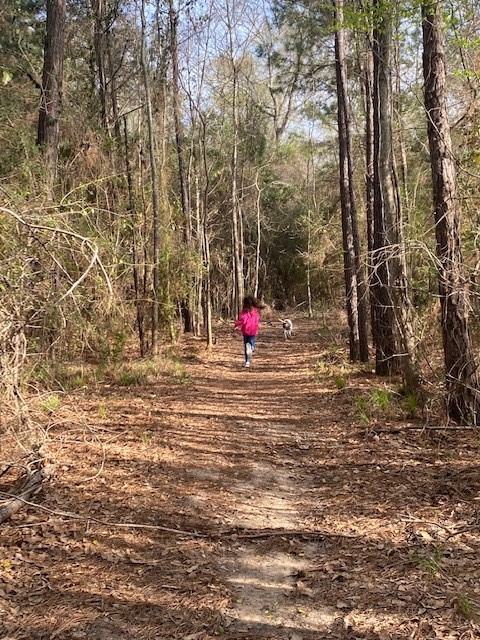 4639 Sequoia Echo Drive Spring, TX 77386 - Photo 21 of 26 a ground with lots of trees
