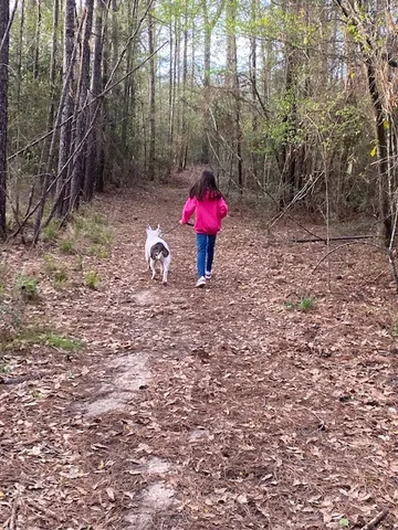 a view of outdoor space with trees