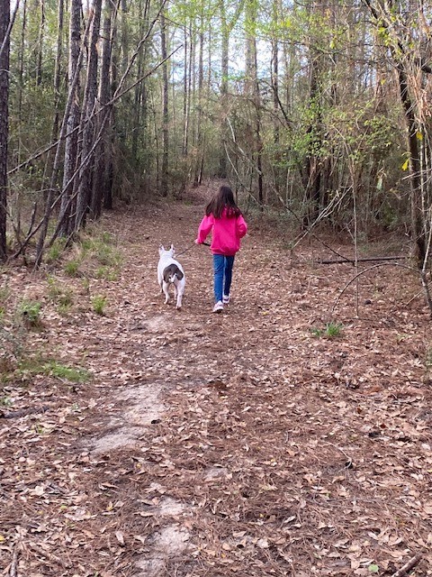 4639 Sequoia Echo Drive Spring, TX 77386 - Photo 22 of 26 a view of outdoor space with trees