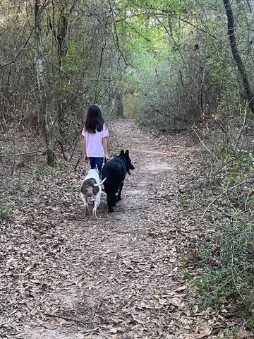 a backyard of a house with seating space