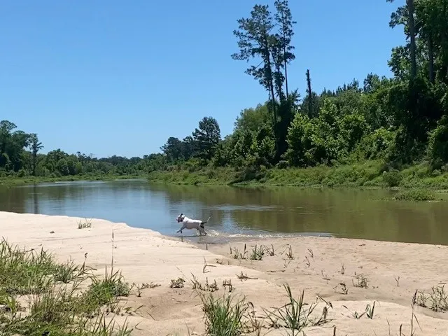 a view of a lake next to a lake view