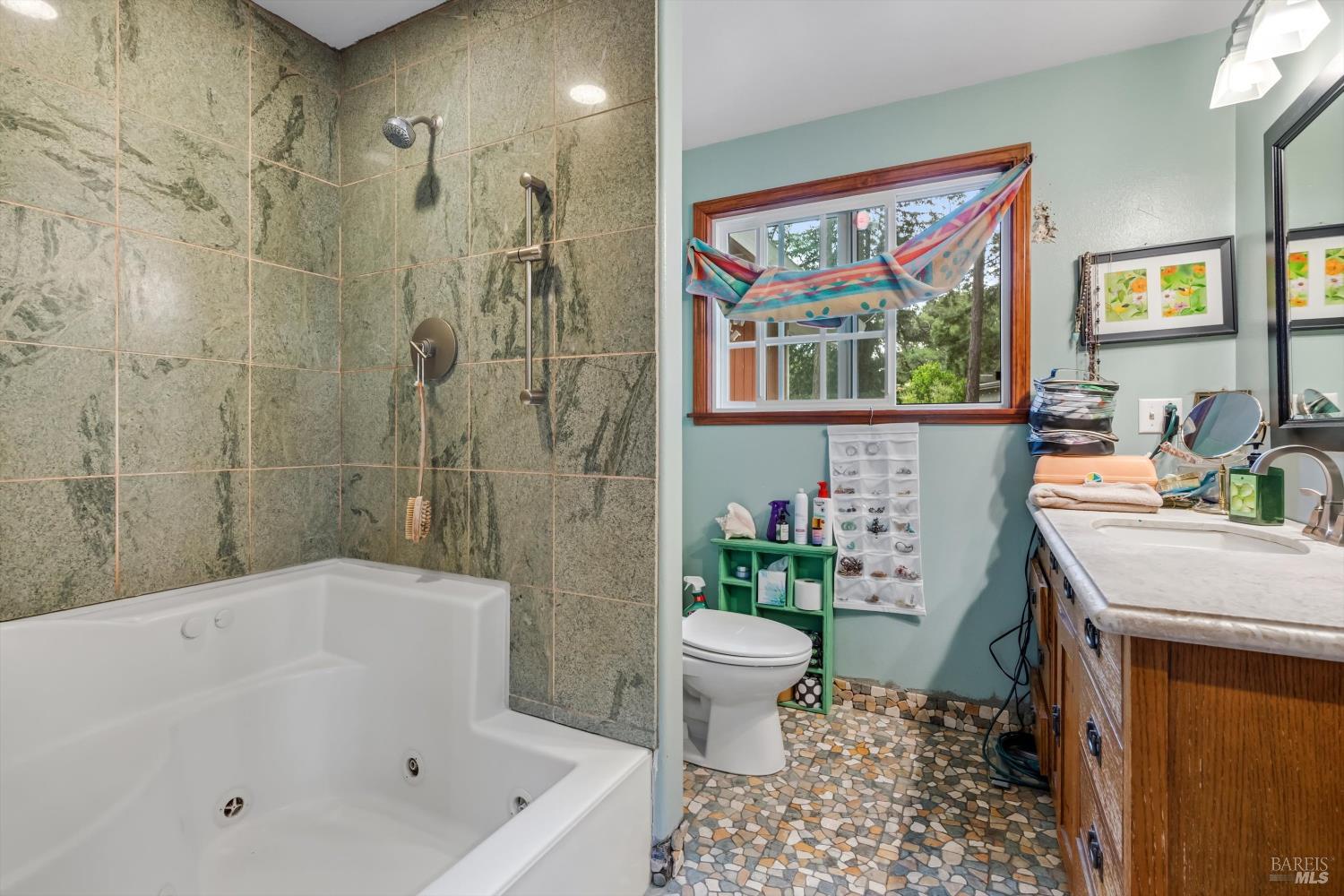 8157 Mill Station Road Sebastopol, CA 95472 - Photo 20 of 27 a bath room with a toilet a sink and a bath tub