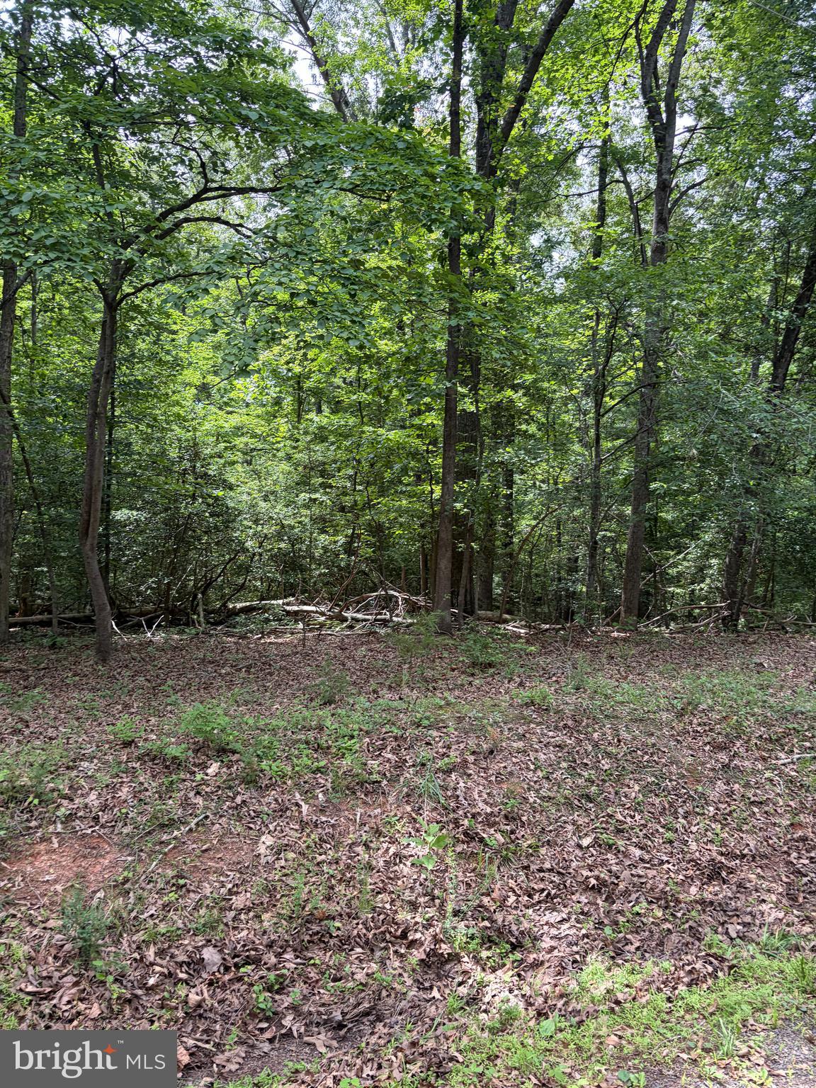1 Rapidan Road Locust Grove, VA 22508 - Photo 8 of 21 Bring your chickens and other farm animals here!