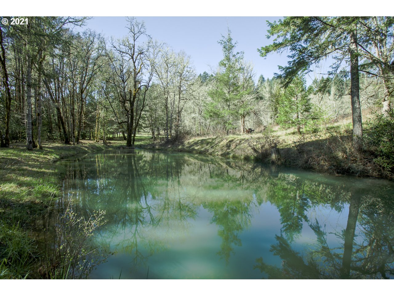 3268 Doerner Road Roseburg, OR 97471 - Photo 28 of 31 Gallery Image 28