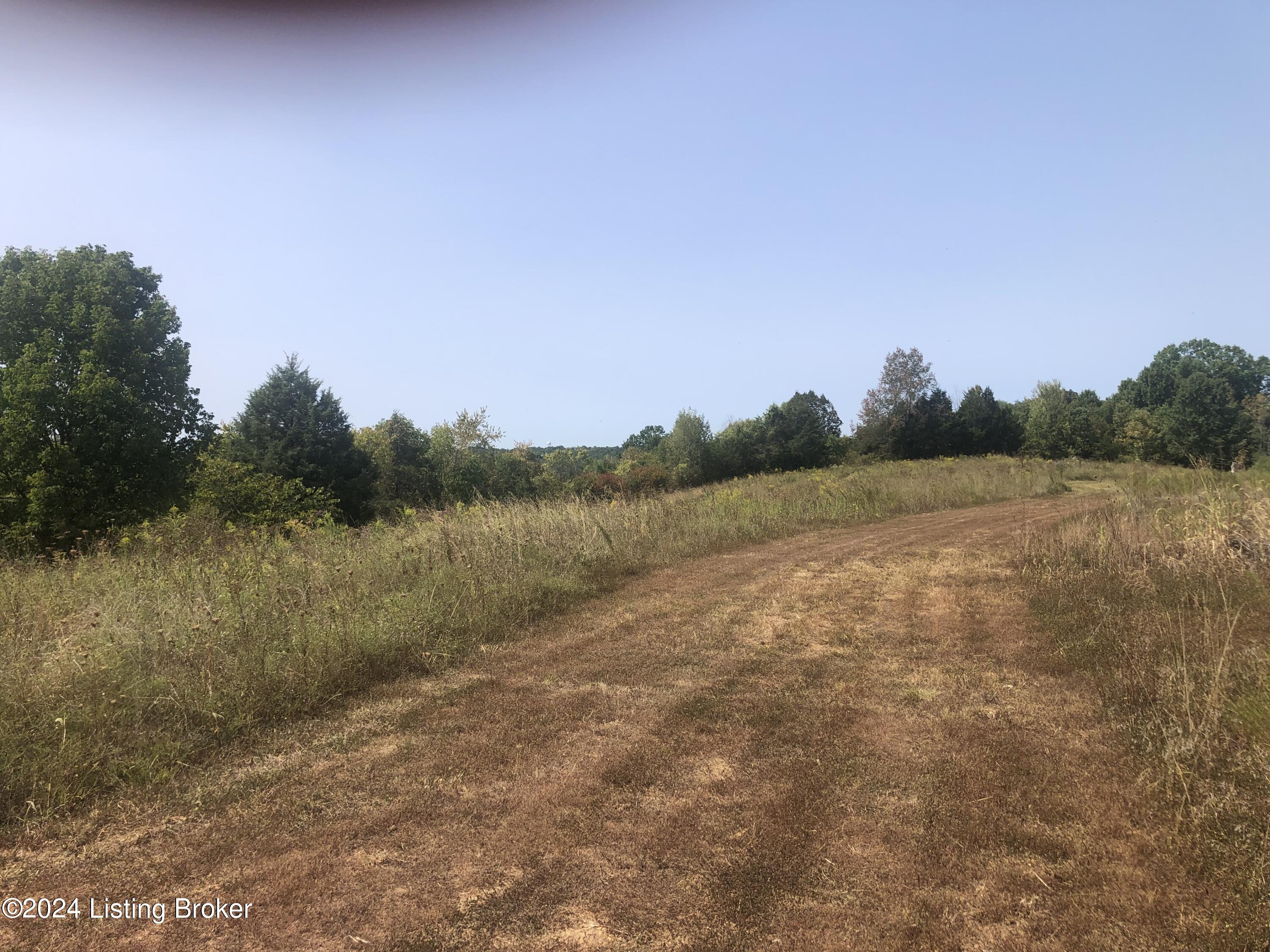 3555 Hardesty Ridge Road Taylorsville, KY 40071 - Photo 38 of 40 Great place to hunt