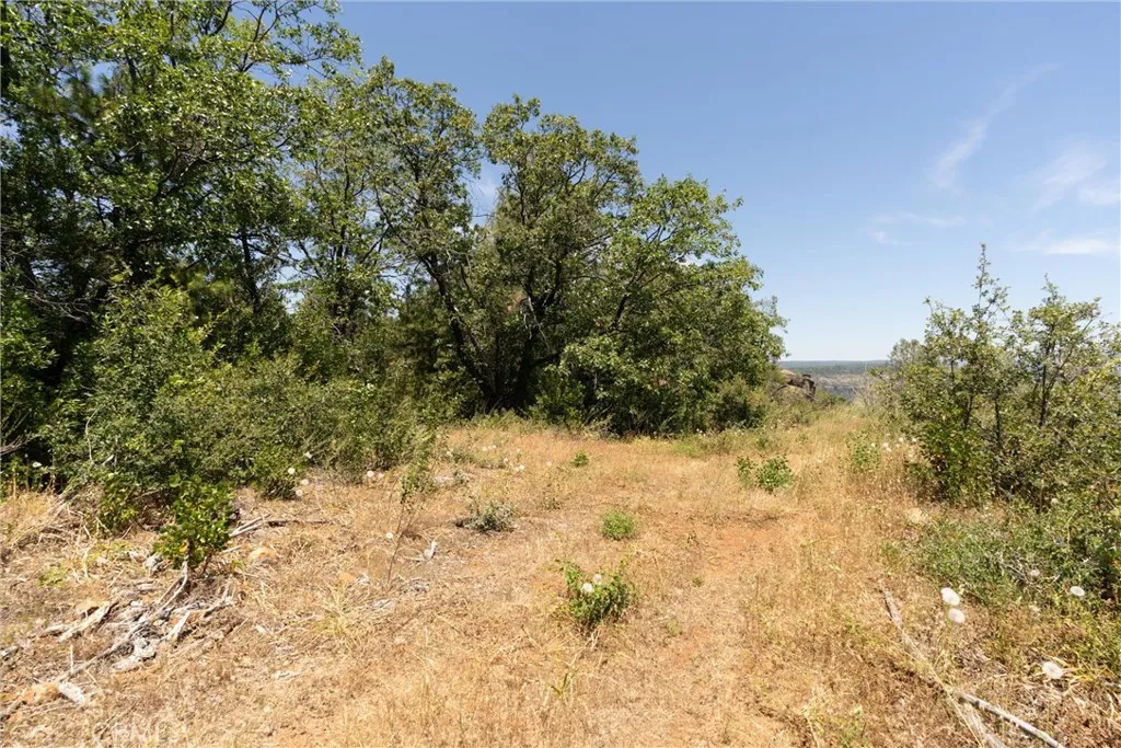 0 Doe Mill Road Magalia, CA 95954 - Photo 18 of 48 Gallery Image 18