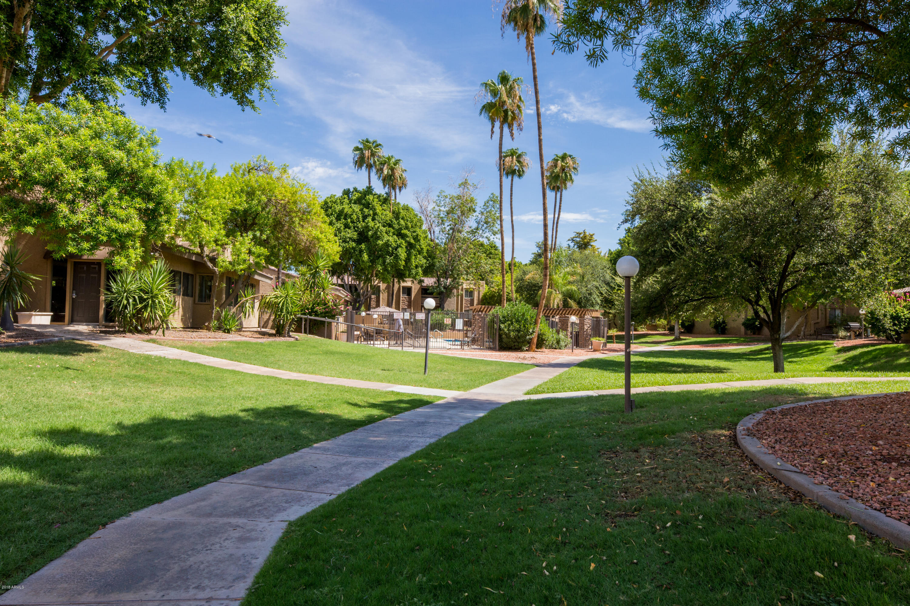 3825 East Camelback Road, Unit 249 Phoenix, AZ 85018 - Photo 18 of 30 a view of a park and trees