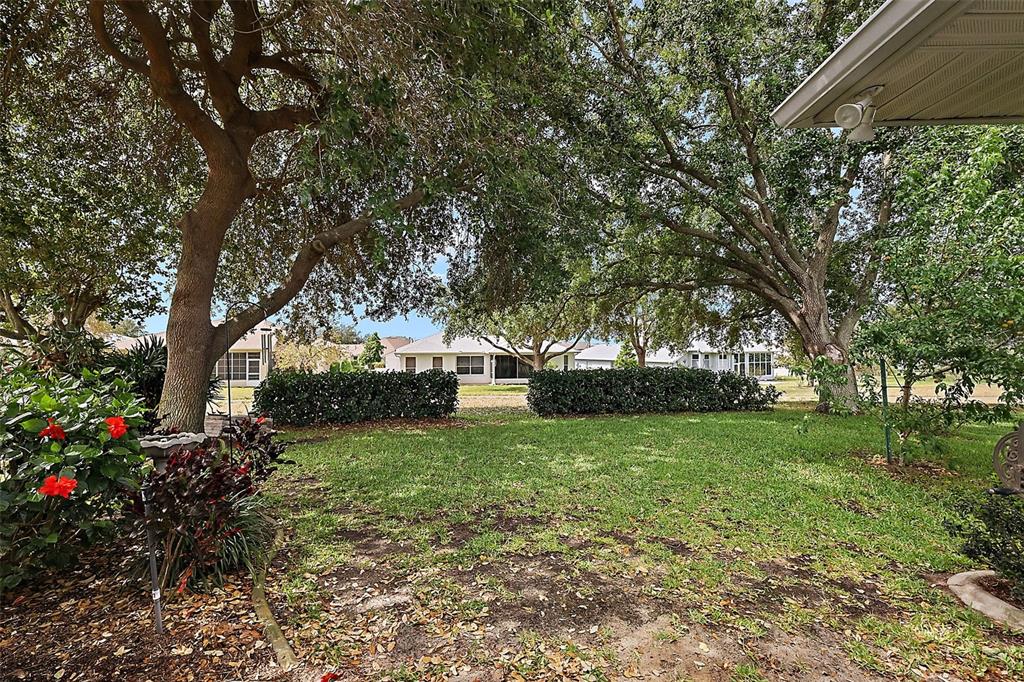 3584 Tropical Seas Loop Tavares, FL 32778 - Photo 39 of 49 a view of a garden with trees