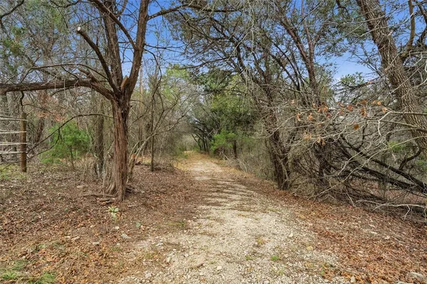 a view of a yard with trees