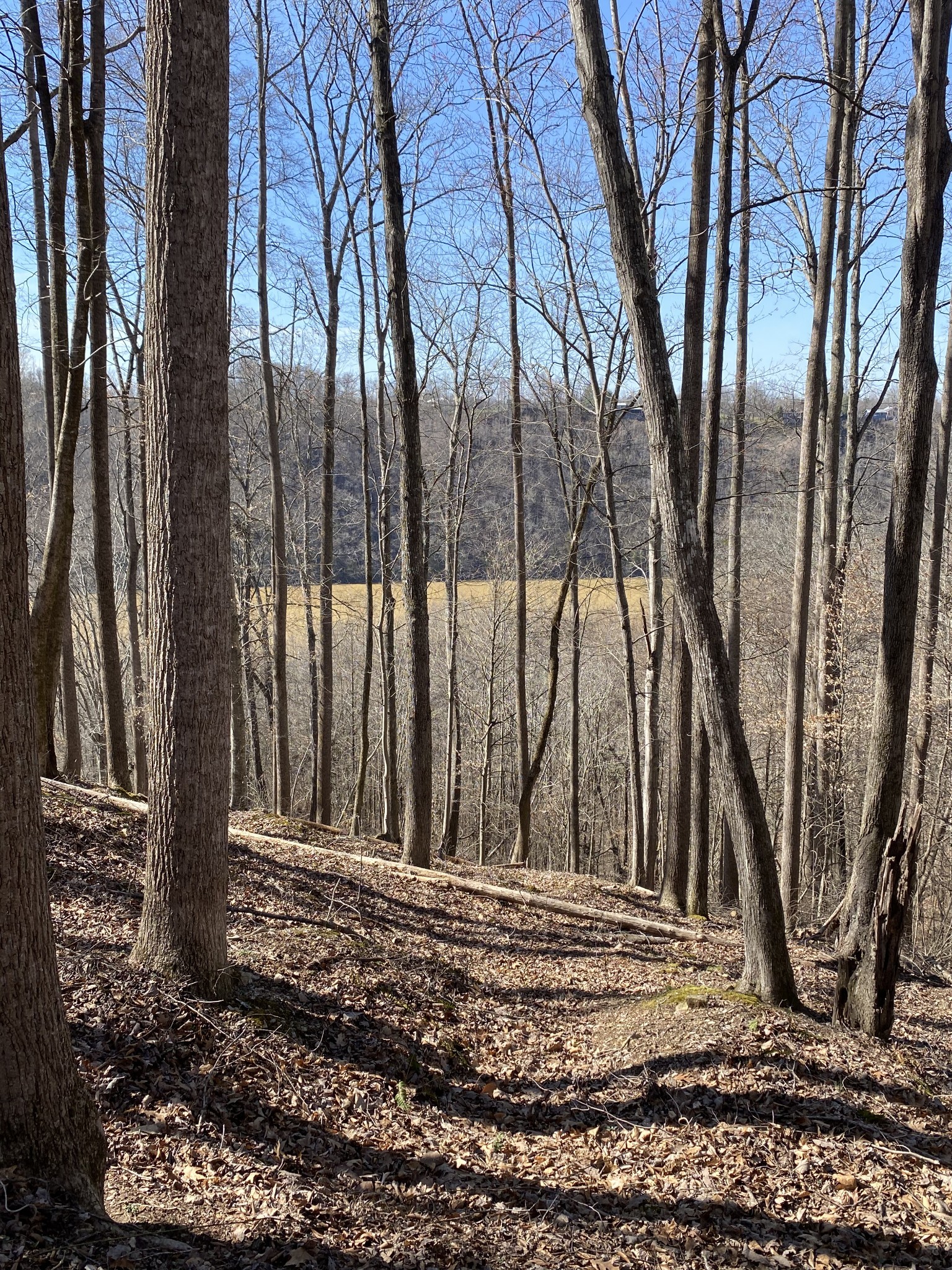 0 Bridge Pointe Road Sparta, TN 38583 - Photo 11 of 15