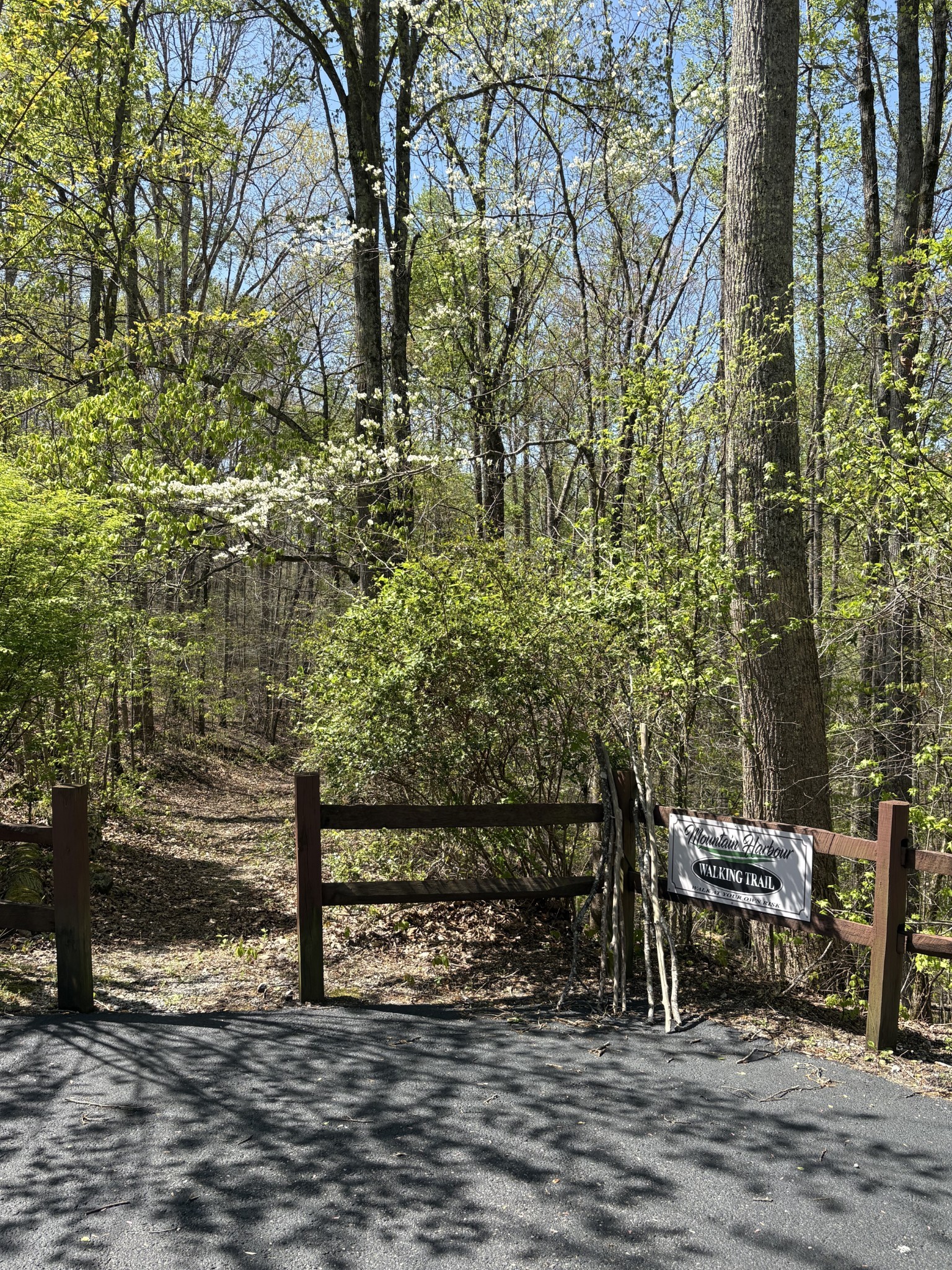 0 Bridge Pointe Road Sparta, TN 38583 - Photo 13 of 15