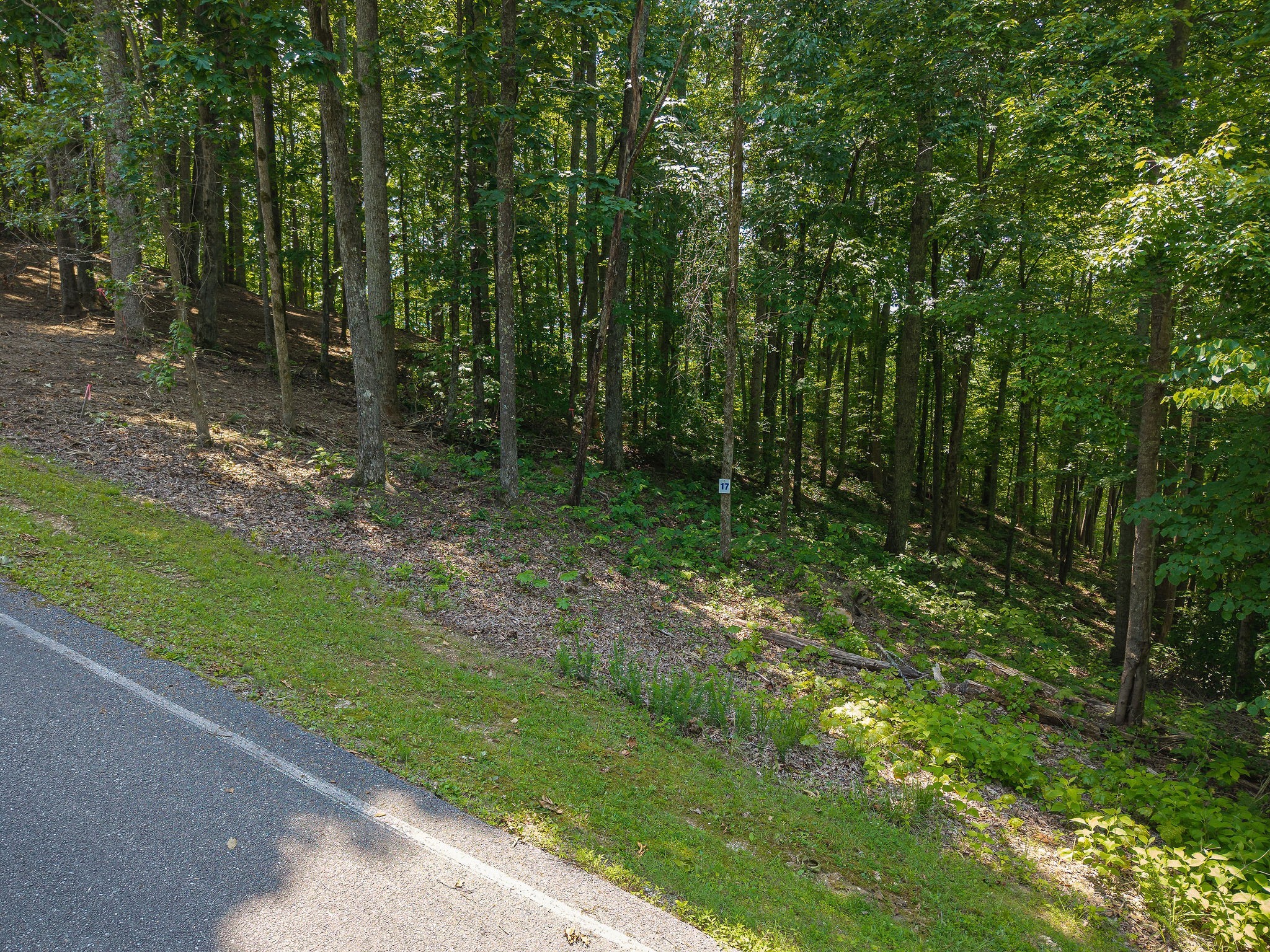 0 Bridge Pointe Road Sparta, TN 38583 - Photo 5 of 15