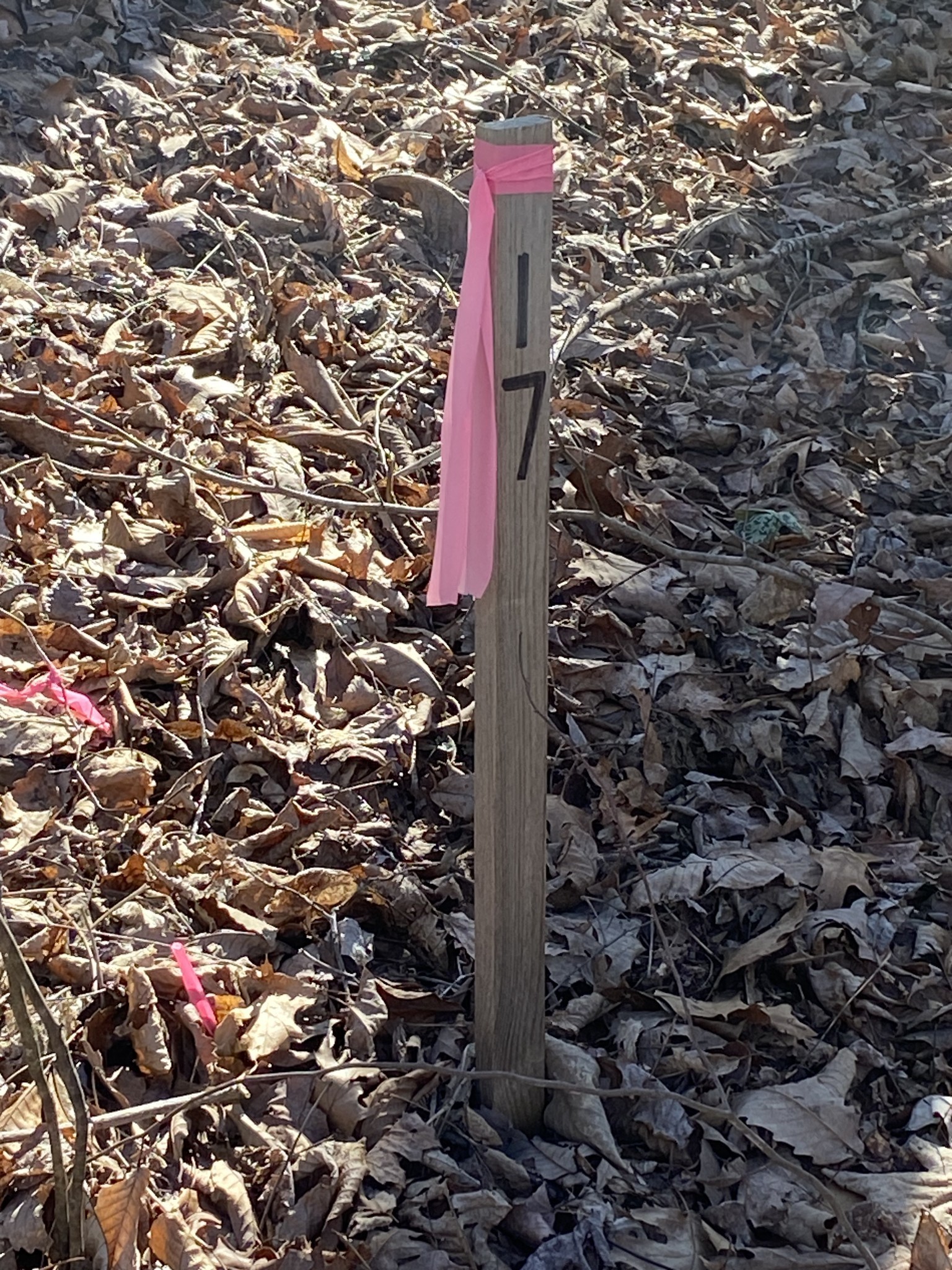 0 Bridge Pointe Road Sparta, TN 38583 - Photo 6 of 15