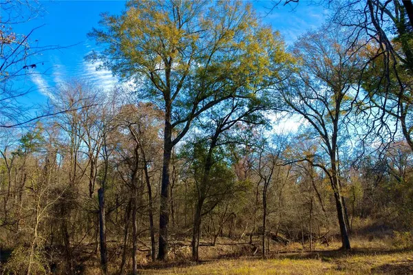 $597,000 | 195 St Arthur City Tx 75411, Arthur City, TX 75411