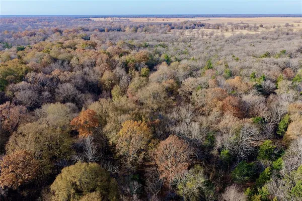 $597,000 | 195 St Arthur City Tx 75411, Arthur City, TX 75411