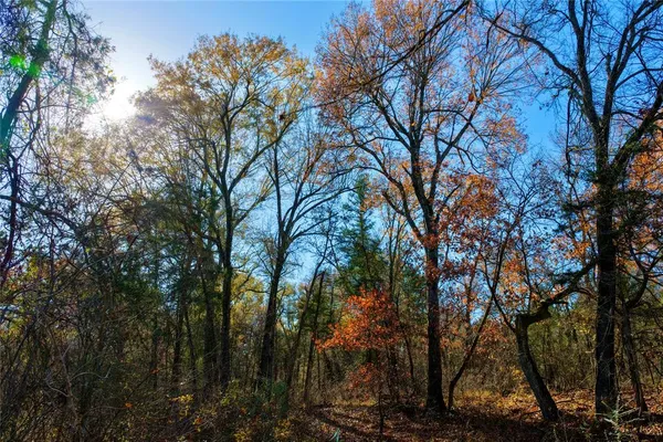 $597,000 | 195 St Arthur City Tx 75411, Arthur City, TX 75411