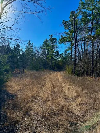 $597,000 | 195 St Arthur City Tx 75411, Arthur City, TX 75411