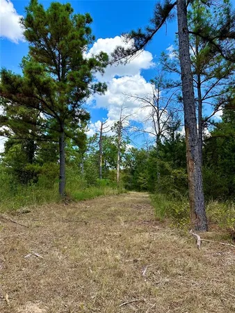 $597,000 | 195 St Arthur City Tx 75411, Arthur City, TX 75411
