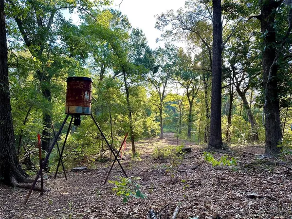 $597,000 | 195 St Arthur City Tx 75411, Arthur City, TX 75411