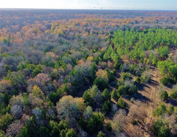 $597,000 | 195 St Arthur City Tx 75411, Arthur City, TX 75411