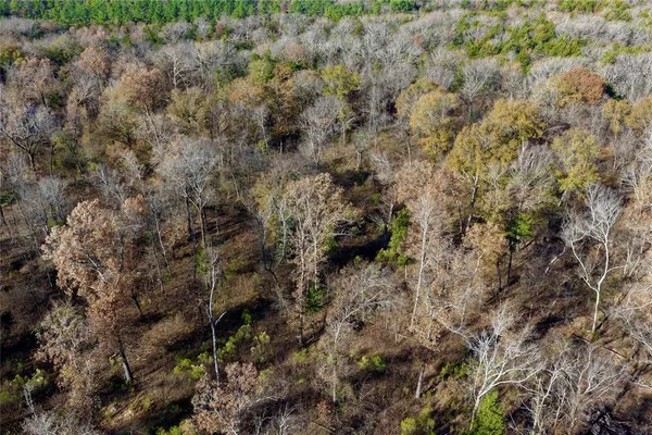 $597,000 | 195 St Arthur City Tx 75411, Arthur City, TX 75411