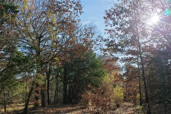 $597,000 | 195 St Arthur City Tx 75411, Arthur City, TX 75411