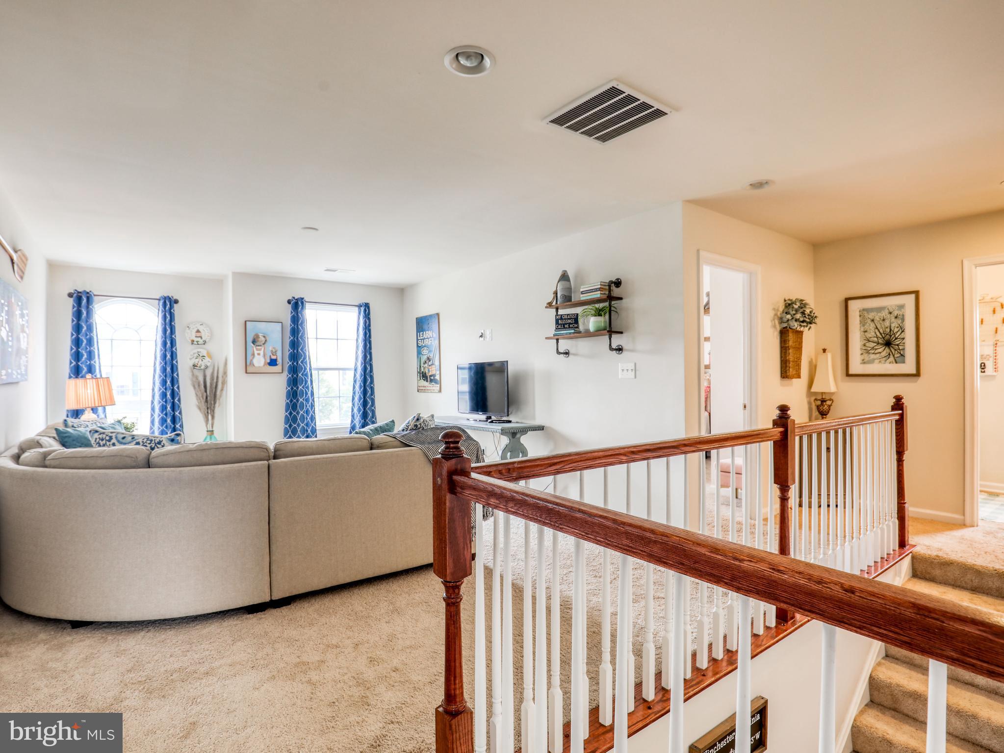 111 Pinwheel Court Stephenson, VA 22656 - Photo 24 of 43 Upper level loft area