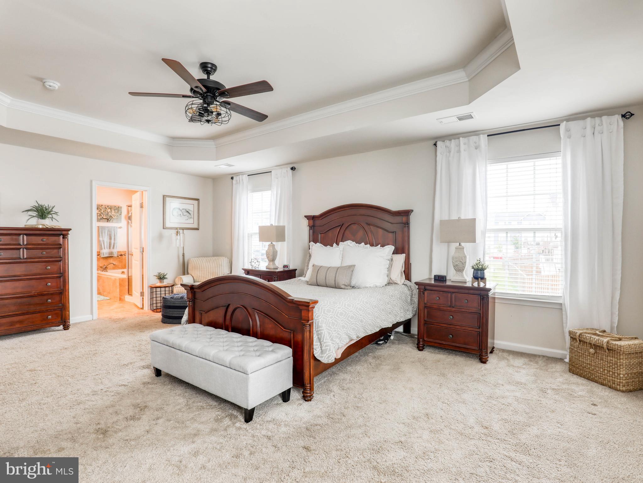 111 Pinwheel Court Stephenson, VA 22656 - Photo 29 of 43 Spacious primary bedroom w/tray ceiling