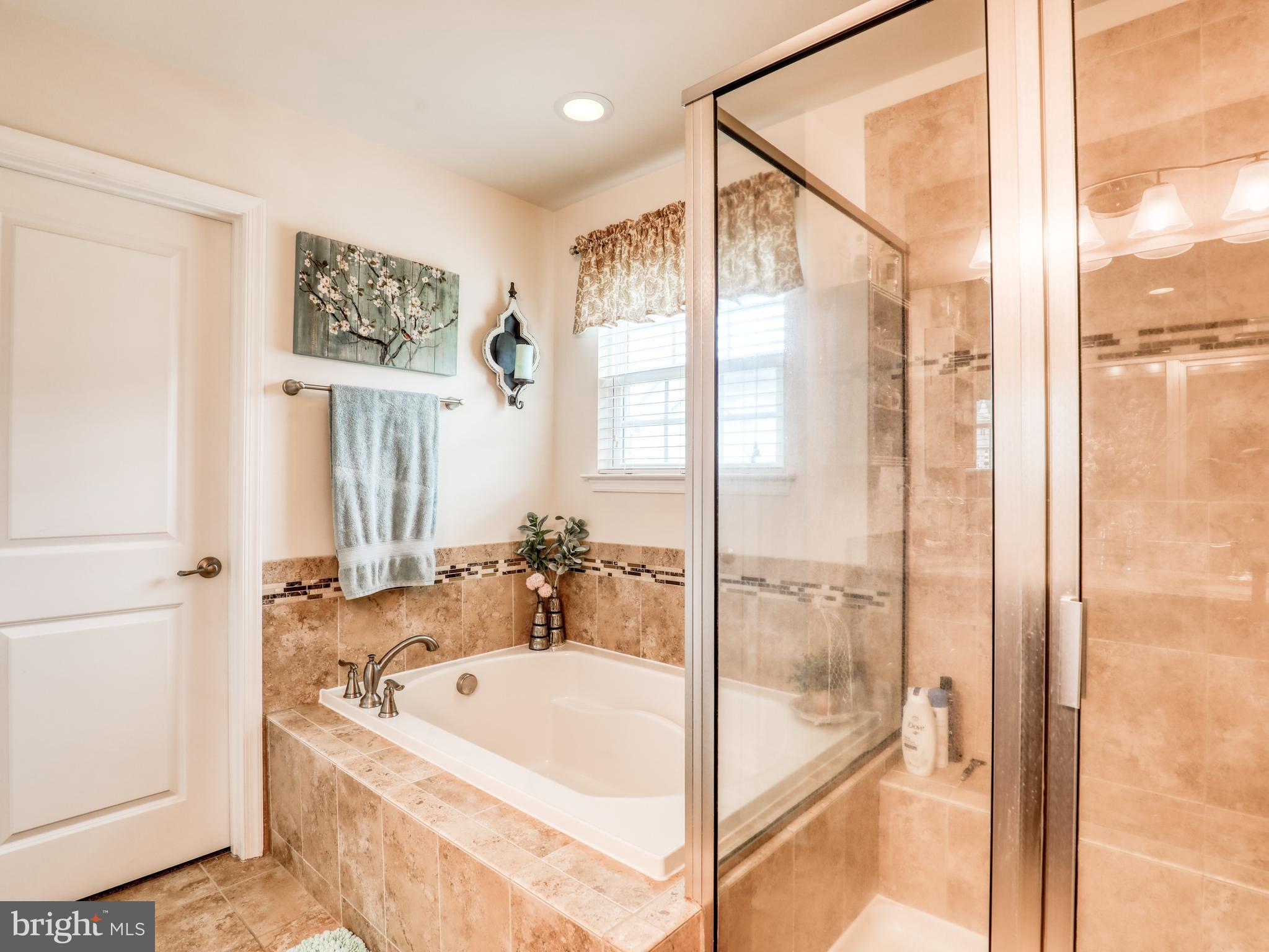 111 Pinwheel Court Stephenson, VA 22656 - Photo 33 of 43 Shower & oversized tub