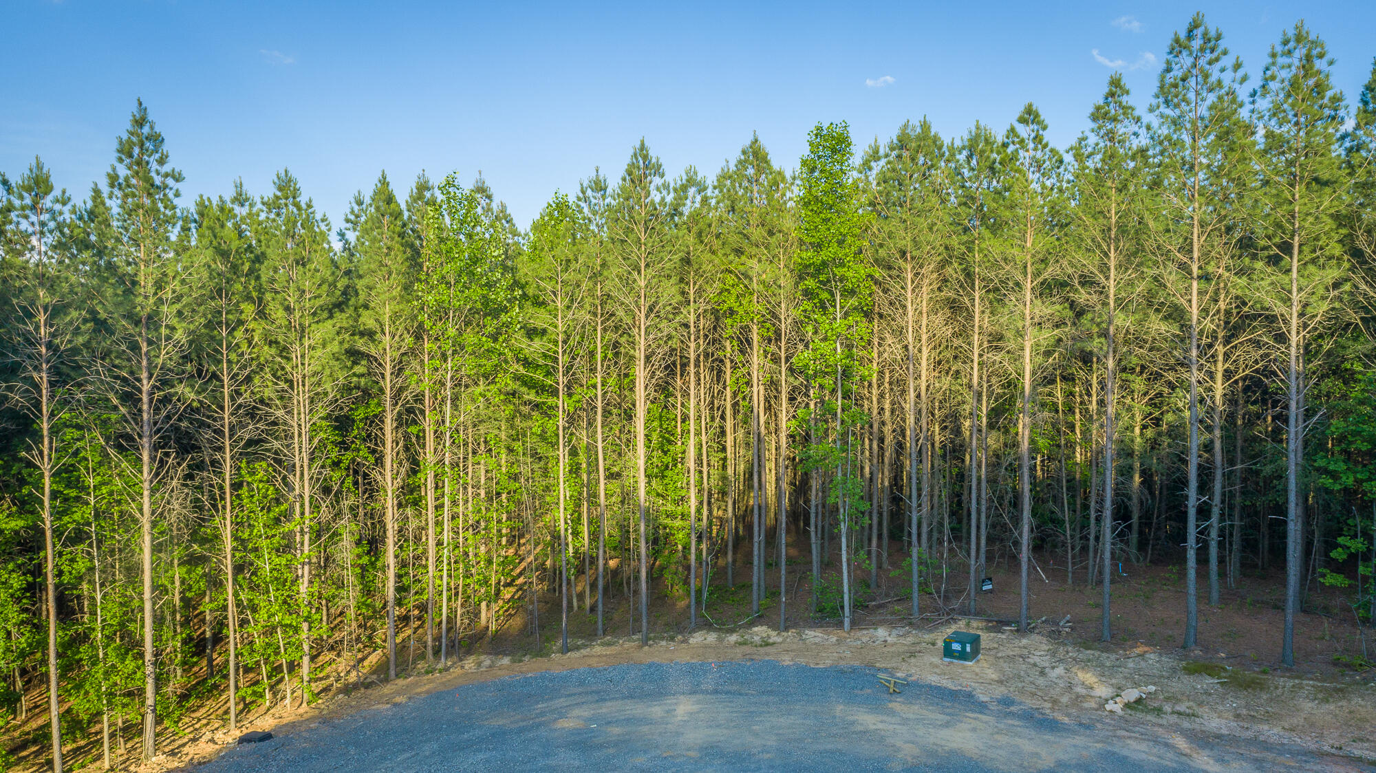 0 Back Basin Trail, Unit LOT 1244 Chattanooga, TN 37419 - Photo 48 of 119 0 Back Basin Trail - Lot 1244 HD-2