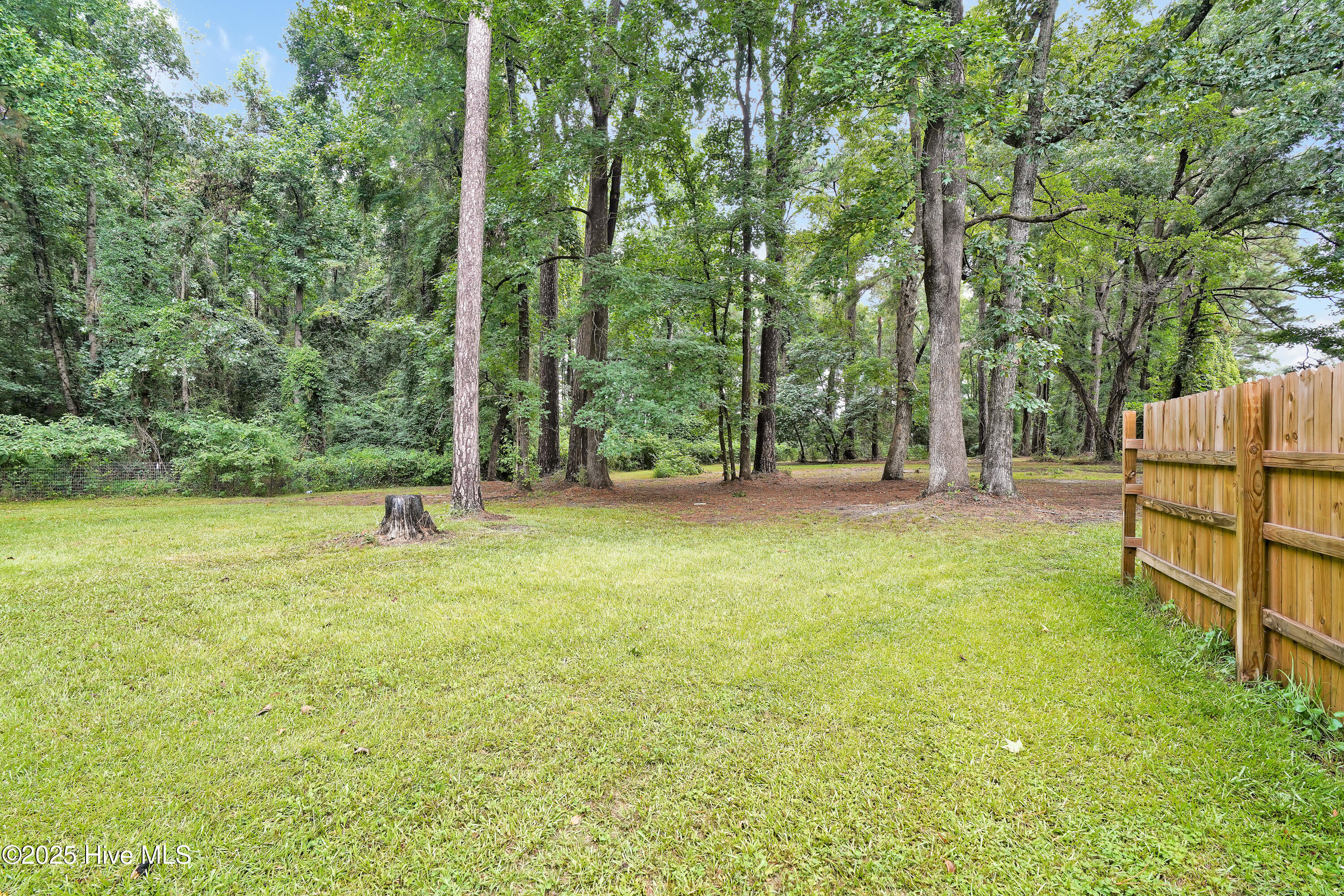 354 Golf Course Road Whiteville, NC 28472 - Photo 38 of 40 Backyard