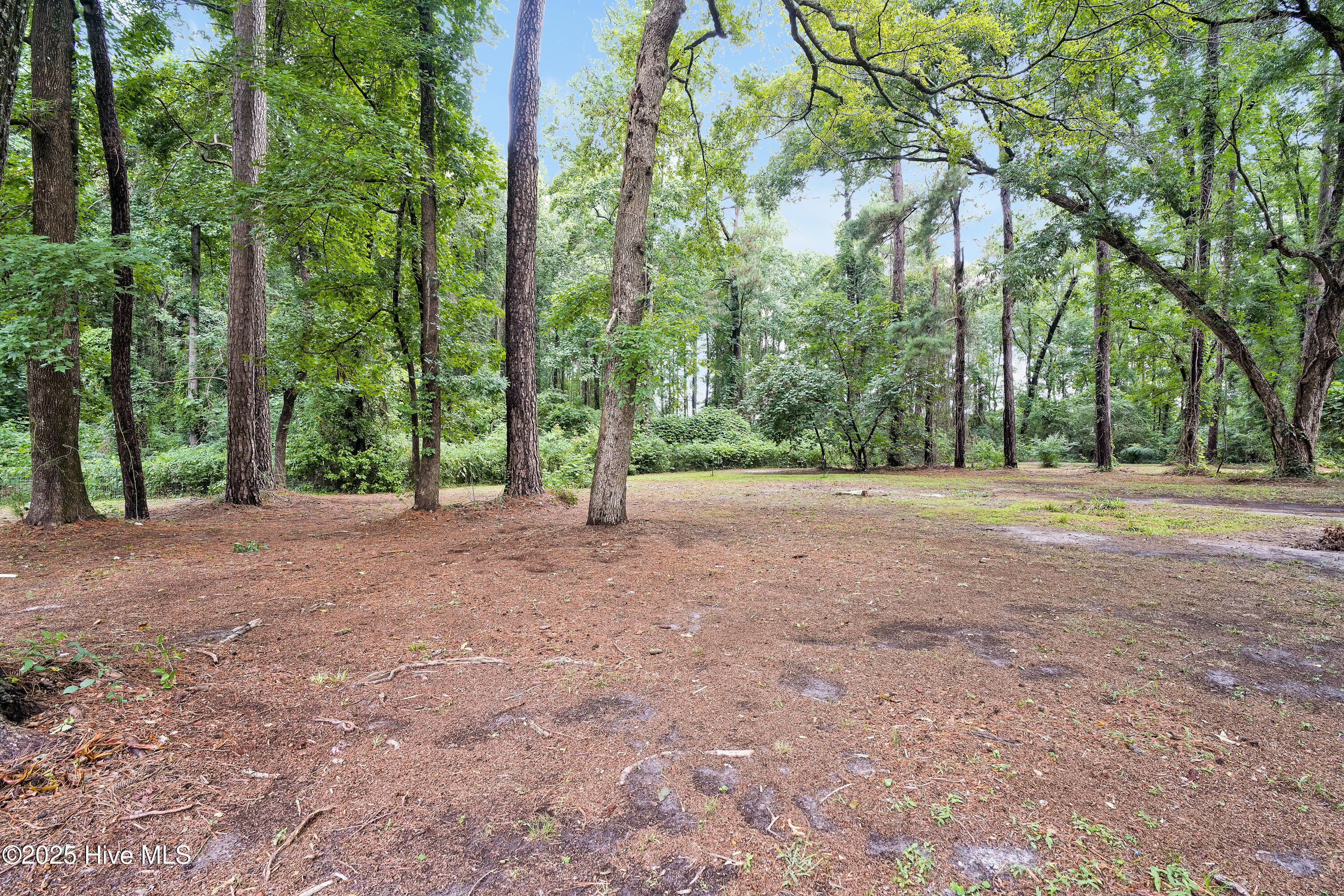 354 Golf Course Road Whiteville, NC 28472 - Photo 39 of 40 Backyard