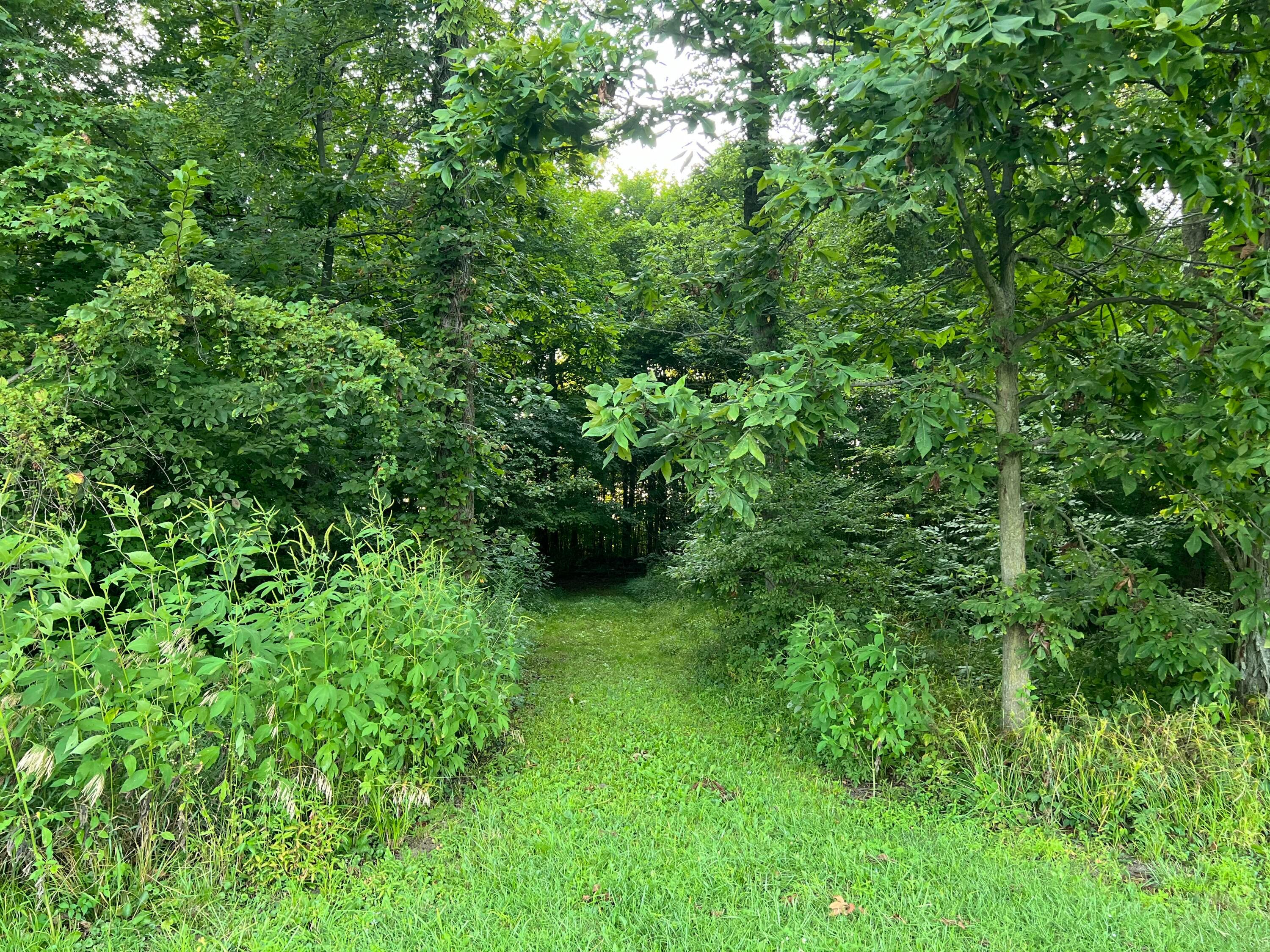 0 Norton Road Radnor, OH 43066 - Photo 25 of 35