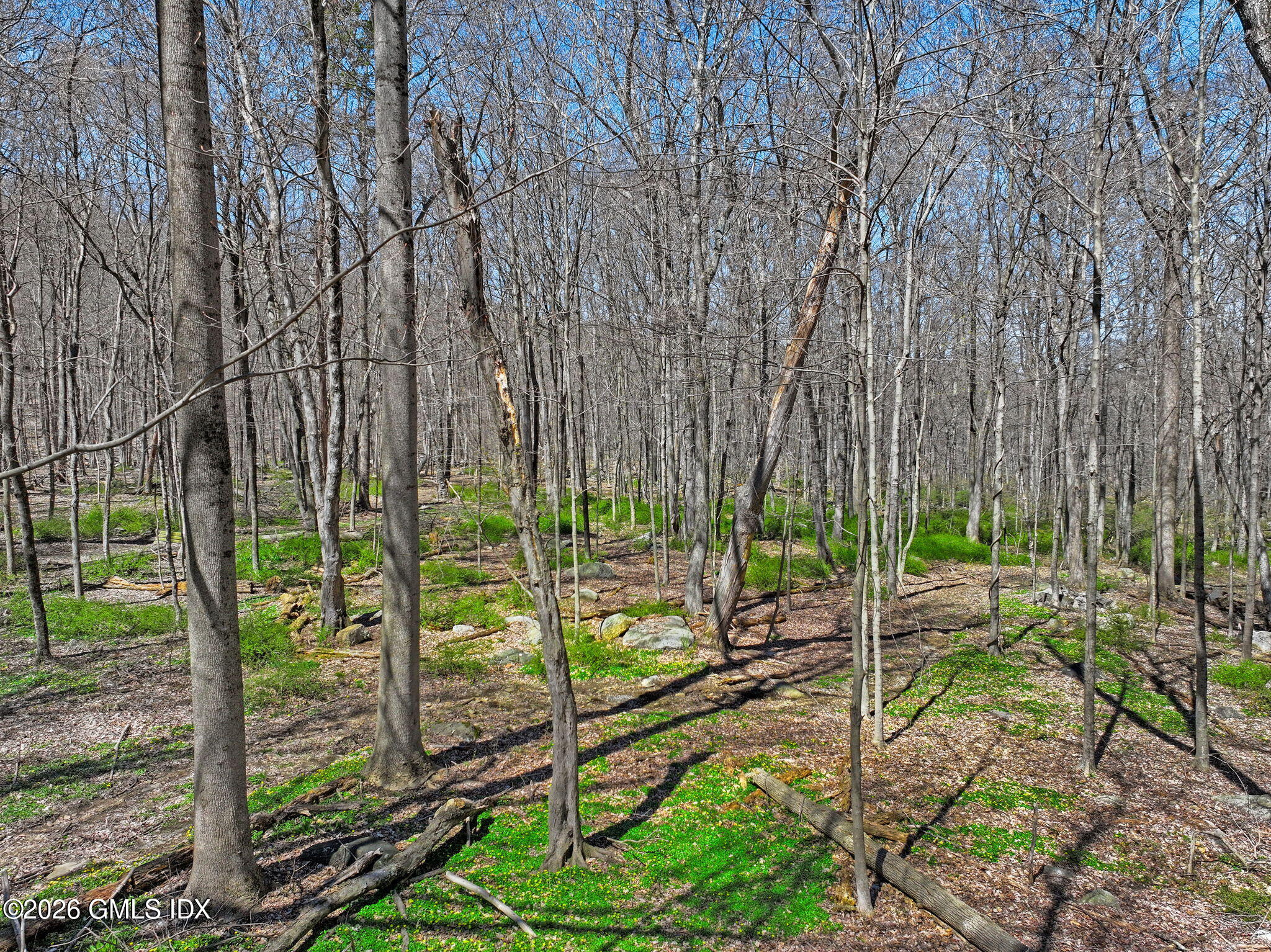 0 June Road Stamford, CT 06903 - Photo 2 of 10 0 June Road lots 1 2 3