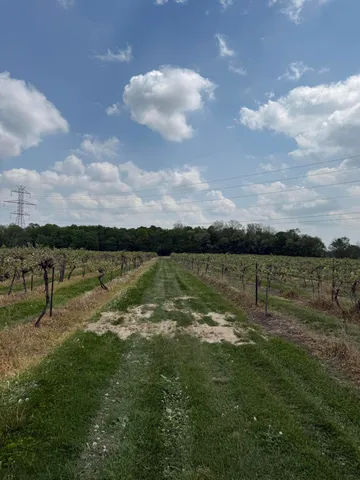 $308,000 | V/l Scottdale Road, Berrien Springs, MI 49103