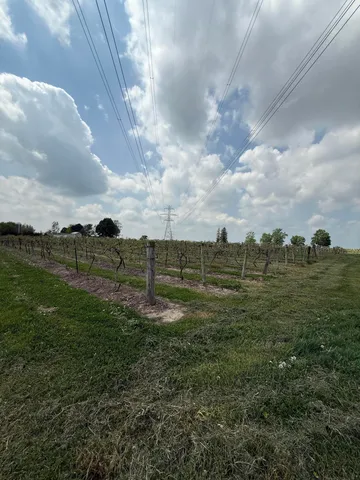 $308,000 | V/l Scottdale Road, Berrien Springs, MI 49103