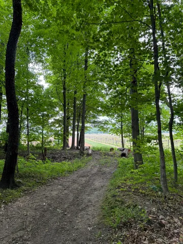 $308,000 | V/l Scottdale Road, Berrien Springs, MI 49103