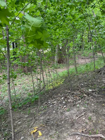 $308,000 | V/l Scottdale Road, Berrien Springs, MI 49103