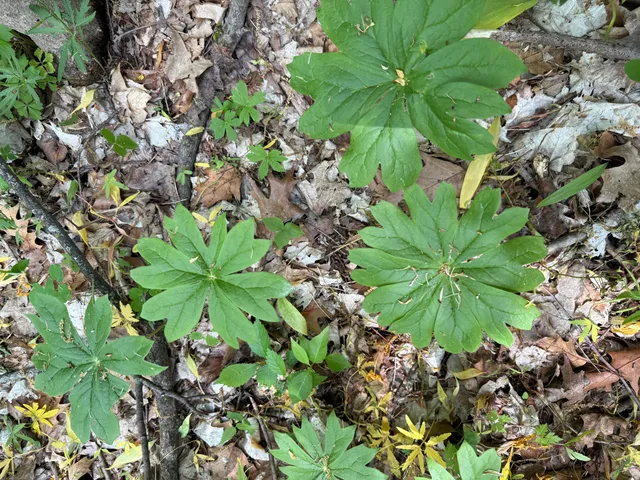 $308,000 | V/l Scottdale Road, Berrien Springs, MI 49103