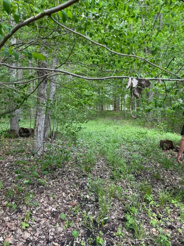 $308,000 | V/l Scottdale Road, Berrien Springs, MI 49103