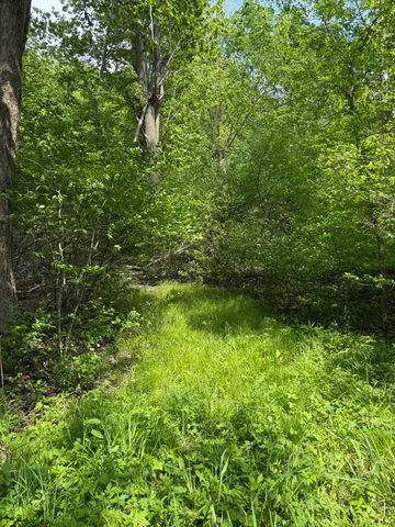 $308,000 | V/l Scottdale Road, Berrien Springs, MI 49103