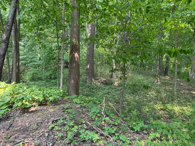 $308,000 | V/l Scottdale Road, Berrien Springs, MI 49103