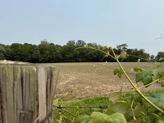 $308,000 | V/l Scottdale Road, Berrien Springs, MI 49103