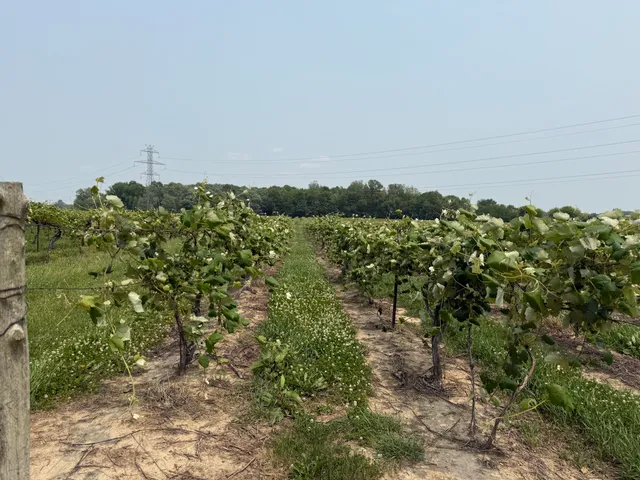 $308,000 | V/l Scottdale Road, Berrien Springs, MI 49103