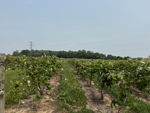 $308,000 | V/l Scottdale Road, Berrien Springs, MI 49103