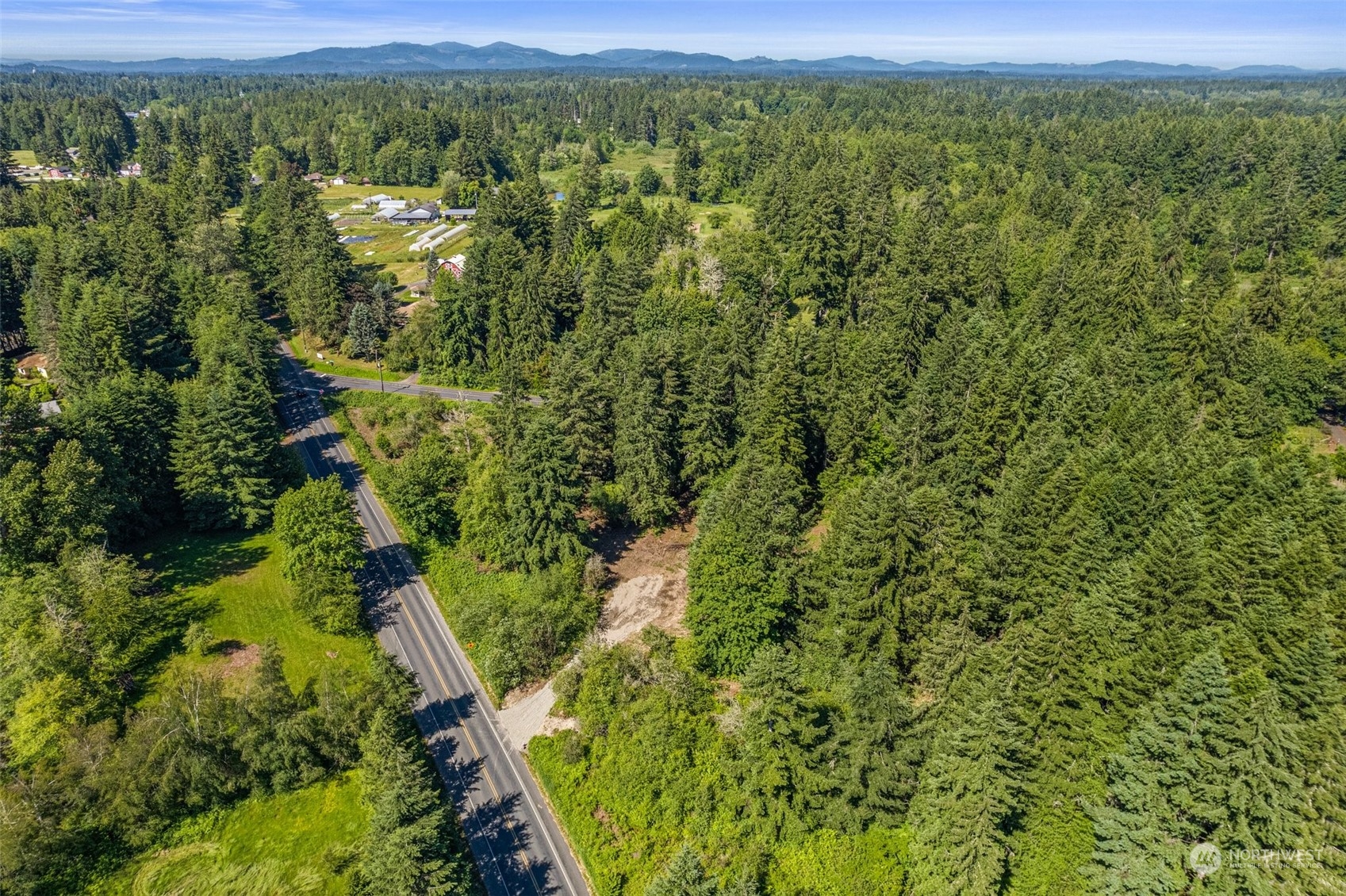 4035 Sleater Kinney Road Northeast Olympia, WA 98506 - Photo 13 of 14 a view of a green yard with large trees